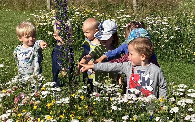 Sydvestmors-boernehave-vuggestue-blomstertur